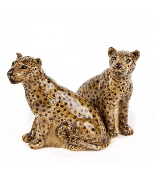 Leopard - Salt and pepper shaker Quail Ceramics pots set shaker cute unique cool