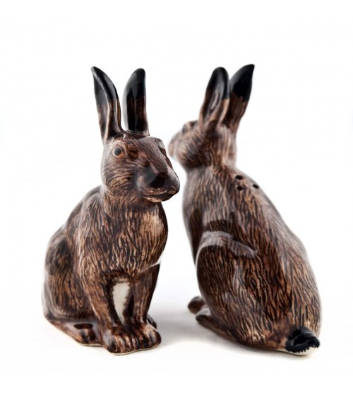 Hare - Salt and pepper shaker Quail Ceramics pots set shaker cute unique cool