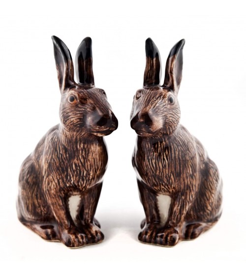 Hare - Salt and pepper shaker Quail Ceramics pots set shaker cute unique cool