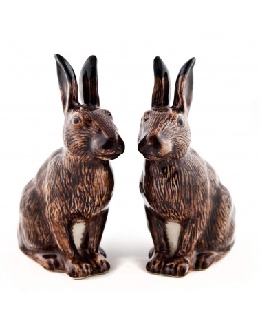 Hare - Salt and pepper shaker Quail Ceramics pots set shaker cute unique cool