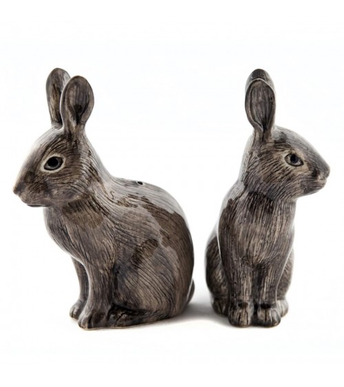 Wild rabbit - Salt and pepper shaker Quail Ceramics pots set shaker cute unique cool