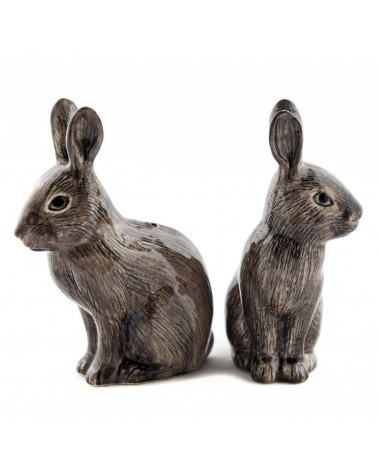 Wild rabbit - Salt and pepper shaker Quail Ceramics pots set shaker cute unique cool
