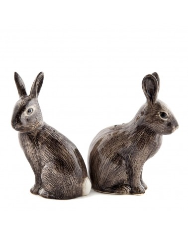 Wild rabbit - Salt and pepper shaker Quail Ceramics pots set shaker cute unique cool