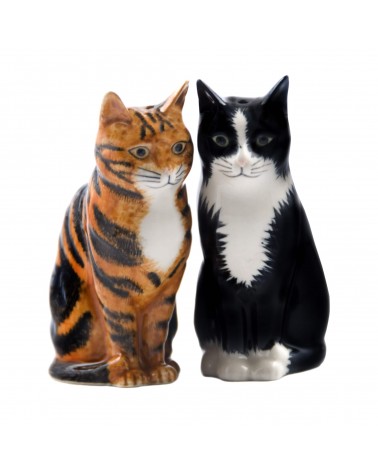Reuben & Sparkly - Salt and pepper shaker Cat Quail Ceramics pots set shaker cute unique cool