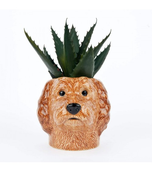 Cockapoo Apricot - Animal Pencil pot & Flower pot Quail Ceramics pretty pen pot holder cutlery toothbrush makeup brush