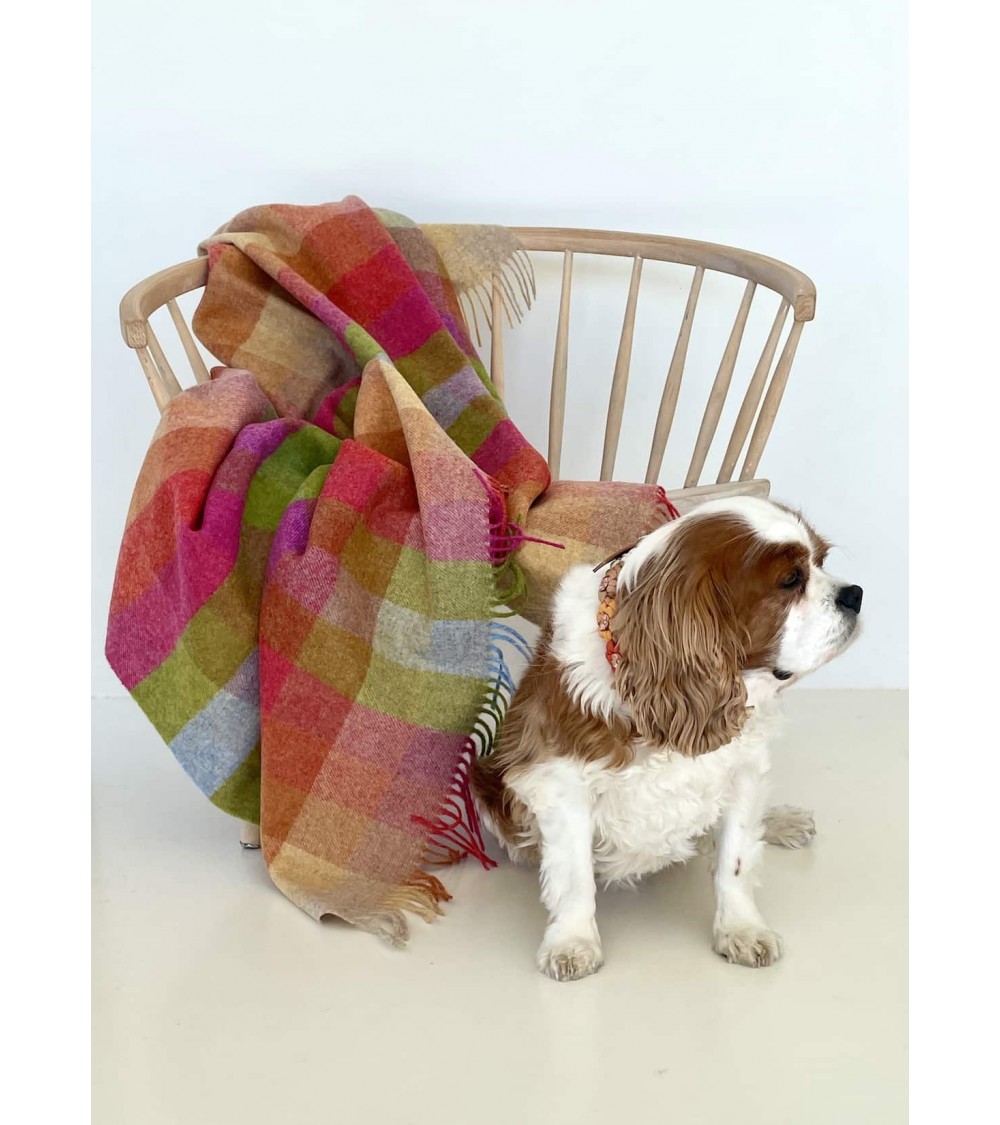 Harlequin Sunshine - Pure new wool blanket Bronte by Moon warm cozy soft sofa throw blanket picnic throws and blankets