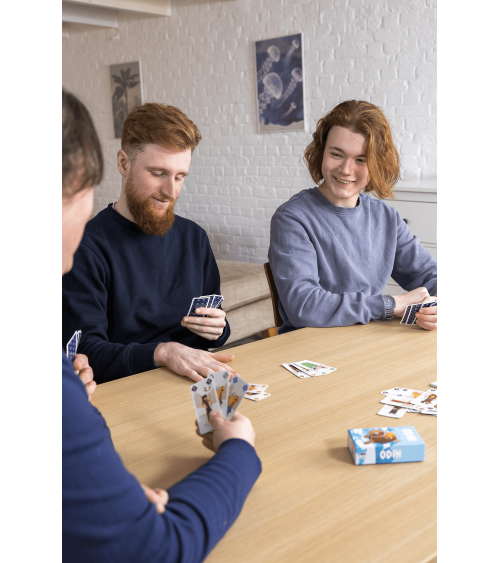 Odin - Kartenspiel, Strategie Helvetiq Familienspiele Brettspiele für Erwachsene zwei drei vier