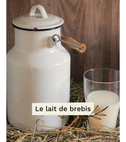 Lait de brebis & miel - Savon solide naturel Saly Savons artisanal pour les mains le visage le corps savons artisanaux luxe