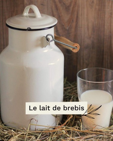 Lait de brebis & miel - Savon solide naturel Saly Savons artisanal pour les mains le visage le corps savons artisanaux luxe