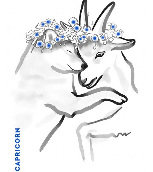 Birthday card horoscope - Capricorn Rice&Ink happy birthday wishes for a good friend congratulations cards