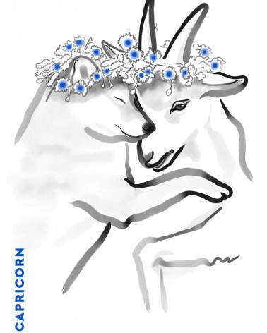 Birthday card horoscope - Capricorn Rice&Ink happy birthday wishes for a good friend congratulations cards