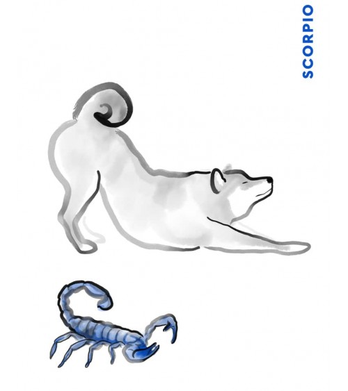 Birthday card horoscope - Scorpio Rice&Ink happy birthday wishes for a good friend congratulations cards