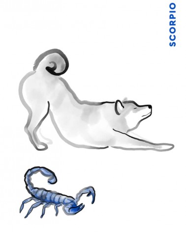 Birthday card horoscope - Scorpio Rice&Ink happy birthday wishes for a good friend congratulations cards