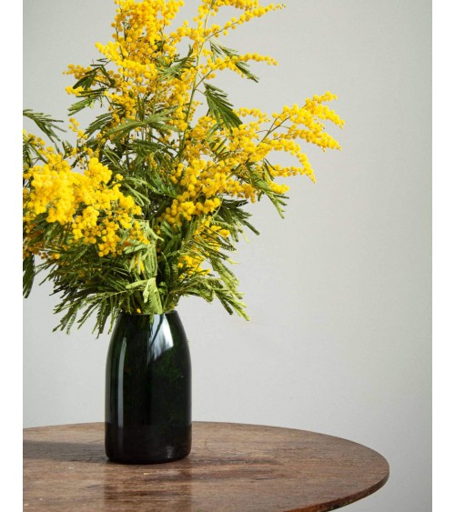 Vaso di vetro - Buller Q de Bouteilles vasi eleganti per interni per fiori decorativi design kitatori svizzera