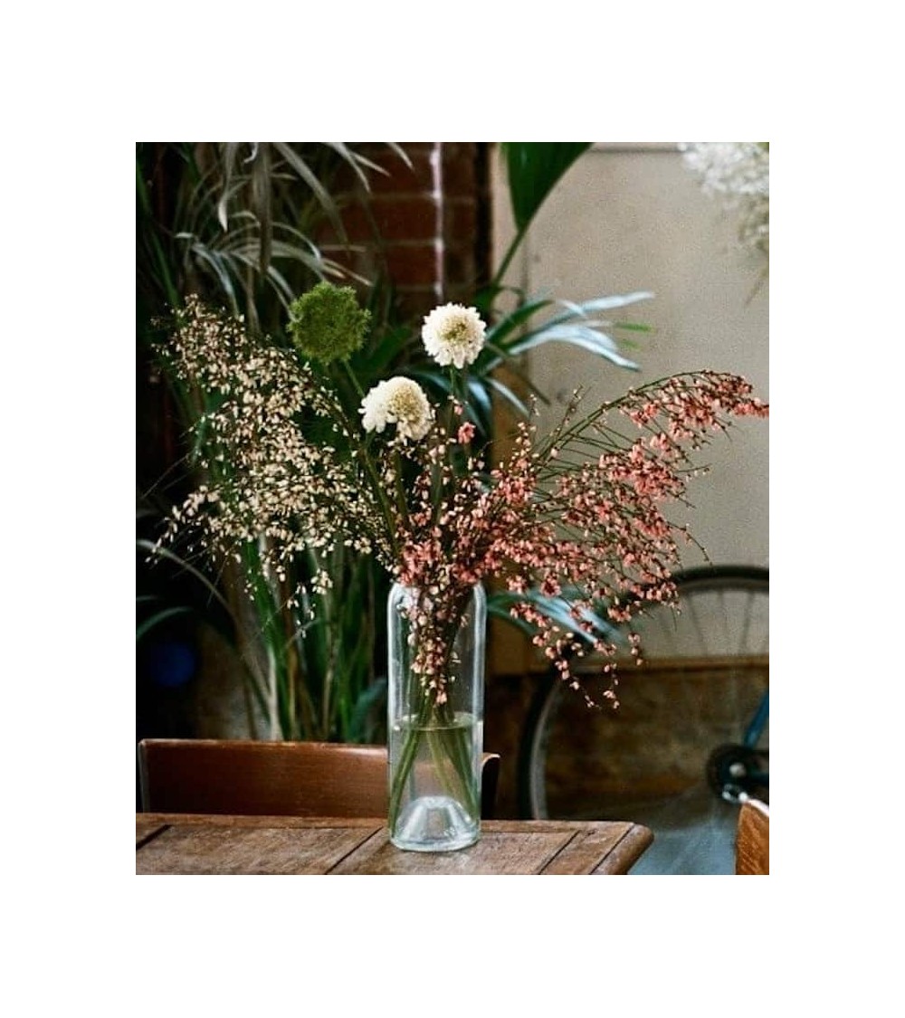 Glass flower vase - Danser Q de Bouteilles table flower living room vase kitatori switzerland