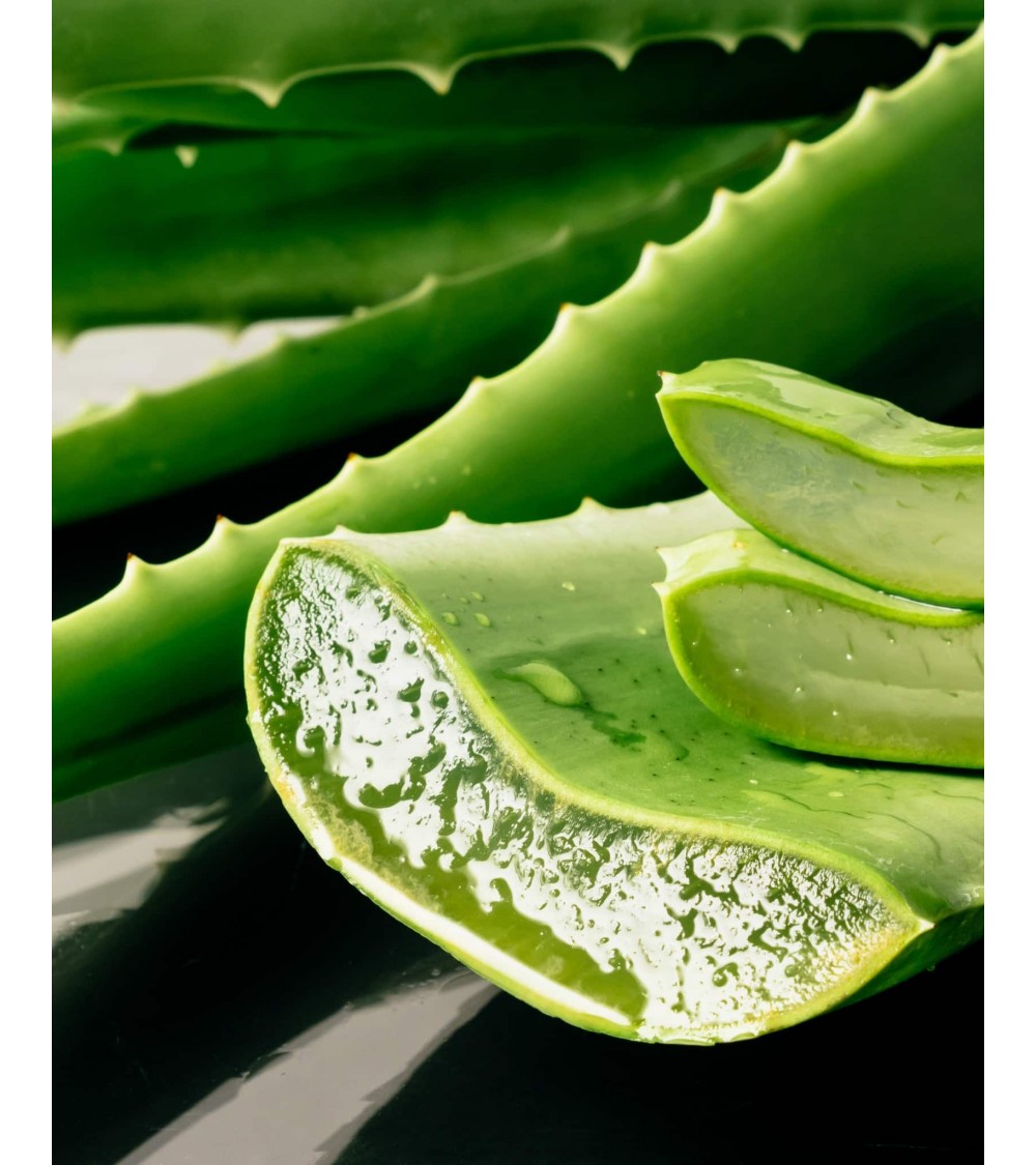 Aloë You Vera Much - Natural solid hair conditioner HappySoaps handmade good best hair products no plastic