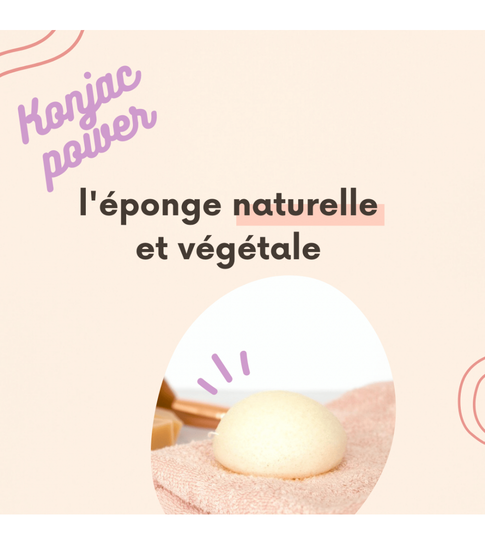 Konjac plant sponge