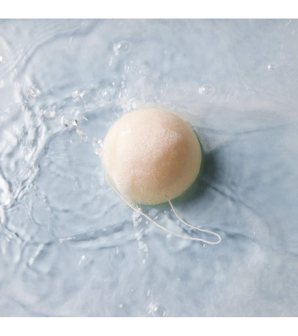 Konjac plant sponge