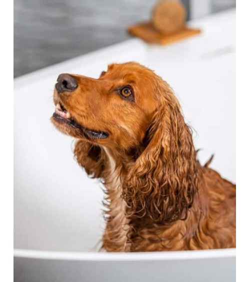Long hair - Natural solid dog shampoo