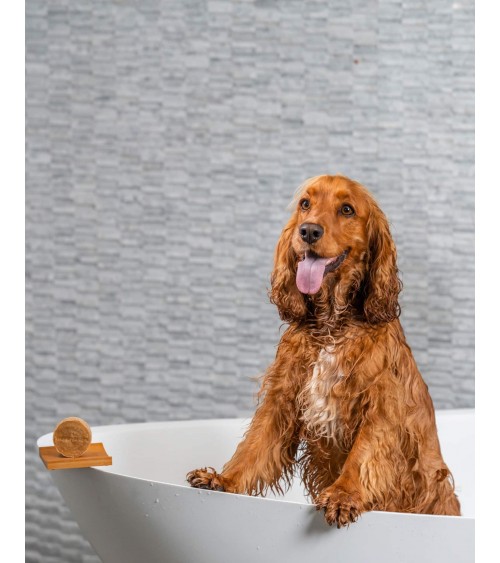 Poils longs - Shampoing solide naturel pour chien