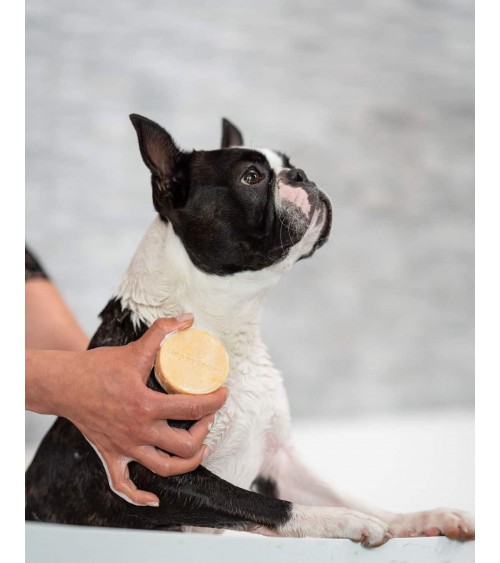 Lange Haare - Natürliches Hundeshampoo