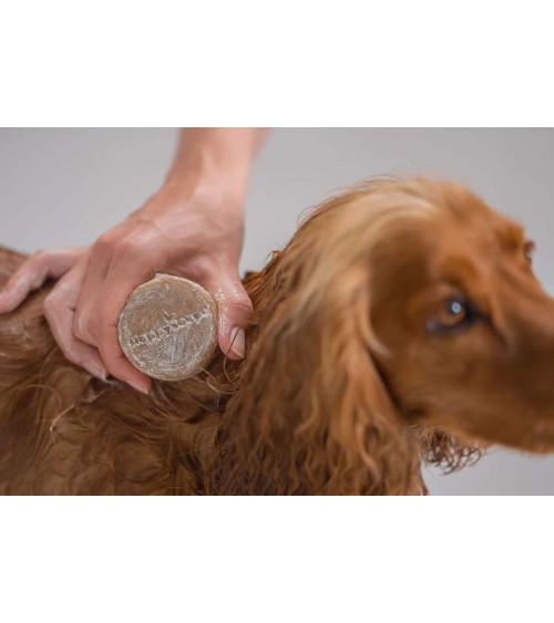 Poils longs - Shampoing solide naturel pour chien