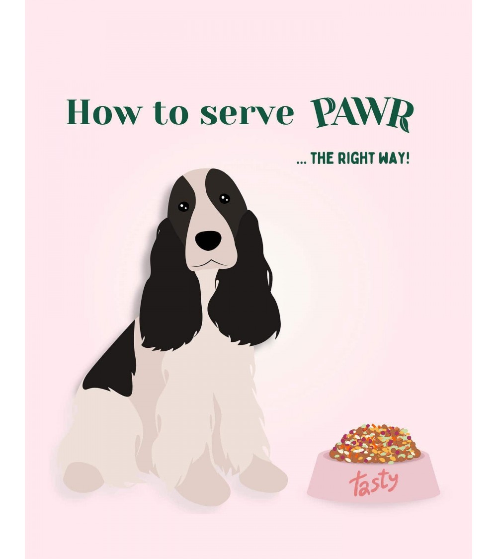 Booster aux betteraves - Croquettes pour chien hypoallergéniques PAWR nourriture nourrir un chien suisse vegan végétariennes