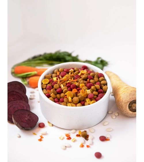 Beetroot booster - Hypoallergenic vegan dog food PAWR best vegetarian plant based allergy dog food