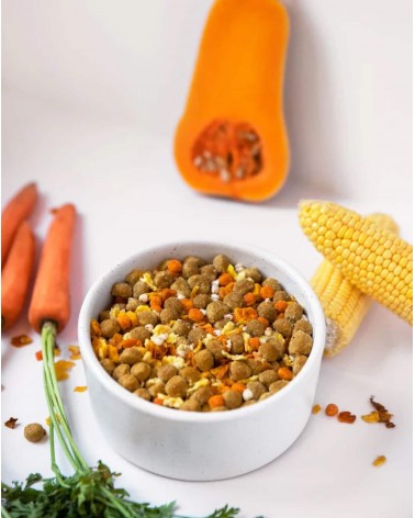 Brillantezza dorata - Cibo ipoallergenico per cani PAWR mangimi migliori crocchette per cani allergici