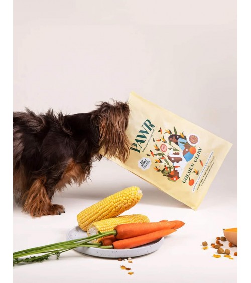 Golden Glow - Hypoallergenic vegan dog food PAWR best vegetarian plant based allergy dog food