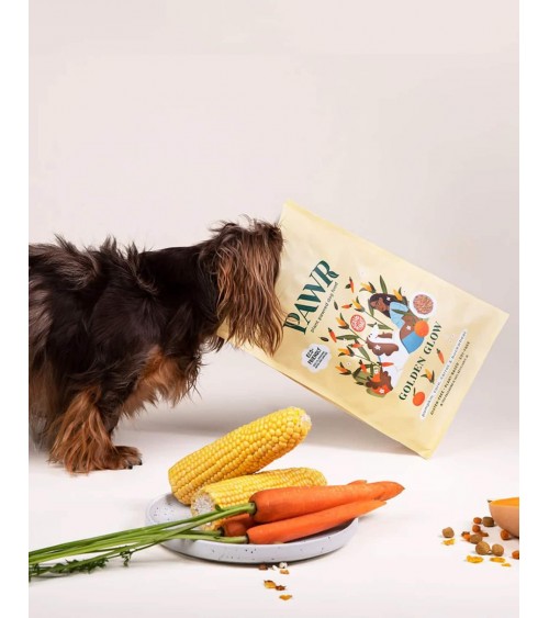 goldener Glanz - veganes hypoallergenes Hundefutter PAWR bestes online bestellen für allergiker schweizer gesundes diätfutter...