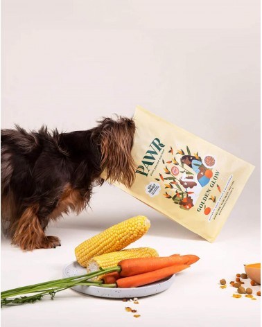 Brillantezza dorata - Cibo ipoallergenico per cani PAWR mangimi migliori crocchette per cani allergici