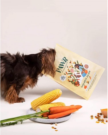 goldener Glanz - veganes hypoallergenes Hundefutter PAWR bestes online bestellen für allergiker schweizer gesundes diätfutter...