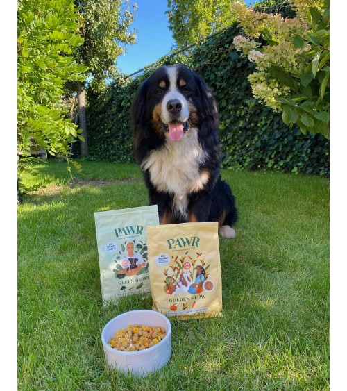 Brillantezza dorata - Cibo ipoallergenico per cani PAWR mangimi migliori crocchette per cani allergici