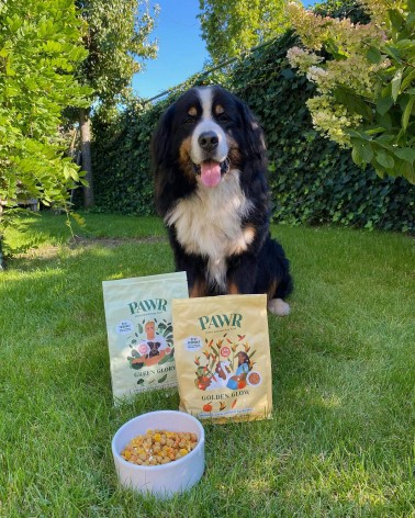 Éclat doré - Croquettes pour chien hypoallergéniques PAWR nourriture nourrir un chien suisse vegan végétariennes