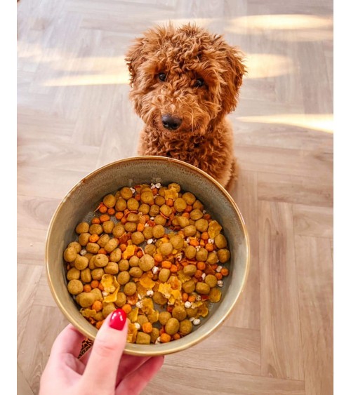 Éclat doré - Croquettes pour chien hypoallergéniques PAWR nourriture nourrir un chien suisse vegan végétariennes