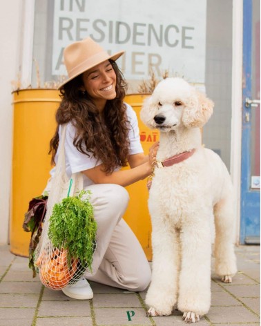 goldener Glanz - veganes hypoallergenes Hundefutter PAWR bestes online bestellen für allergiker schweizer gesundes diätfutter...