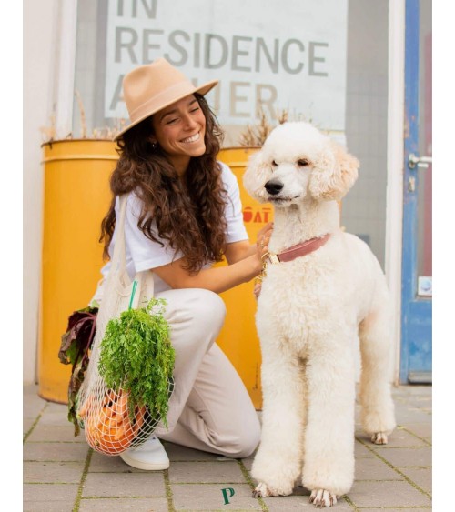 Gloria verde - Cibo ipoallergenico per cani PAWR mangimi migliori crocchette per cani allergici