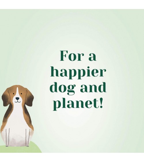 Green Glory - Hypoallergenic vegan dog food PAWR best vegetarian plant based allergy dog food
