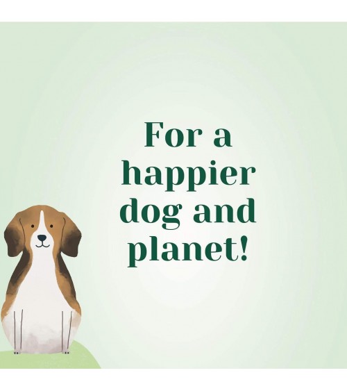 Grandeur verte - Croquettes pour chien hypoallergéniques PAWR nourriture nourrir un chien suisse vegan végétariennes