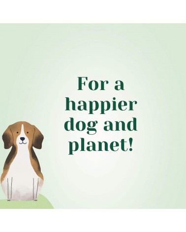 Green Glory - Hypoallergenic vegan dog food PAWR best vegetarian plant based allergy dog food