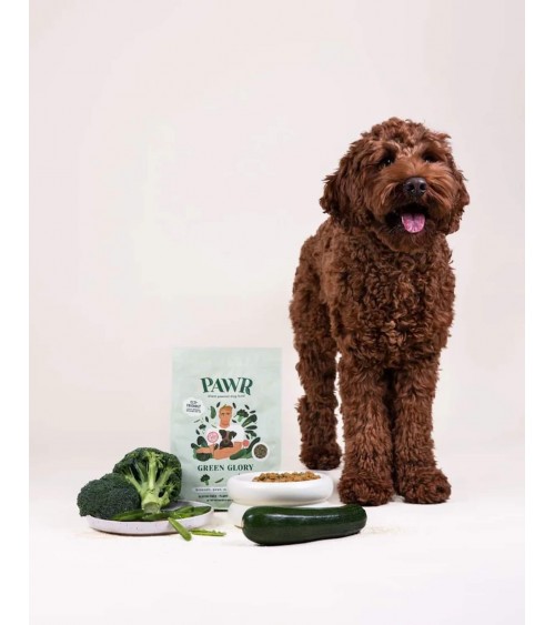 Grandeur verte - Croquettes pour chien hypoallergéniques PAWR nourriture nourrir un chien suisse vegan végétariennes