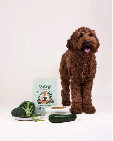 Grandeur verte - Croquettes pour chien hypoallergéniques PAWR nourriture nourrir un chien suisse vegan végétariennes