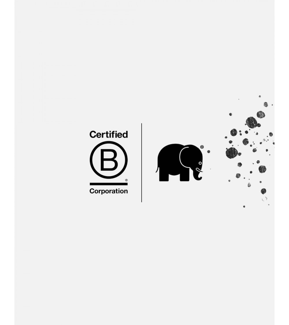 T-Shirt Organic Essential - weiss Trendsplant coole T shirts männer bio baumwolle nachhaltige t shirt damen T-Shirt Organic Essential - weiss Trendsplant coole T shirts männer bio baumwolle nachhaltige t shirt damen