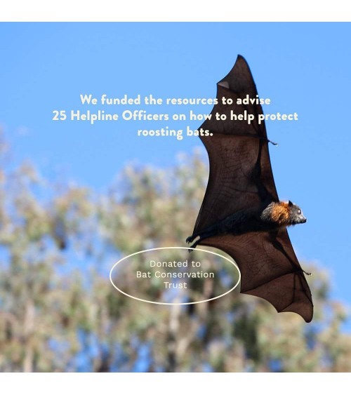 Salvano i pipistrelli - Calzini di bambù