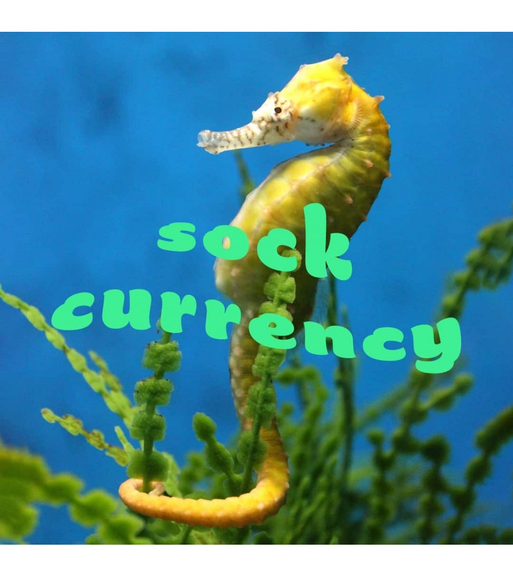 Save the seahorses - Bamboo Socks Bare Kind funny crazy cute cool best pop socks for women men