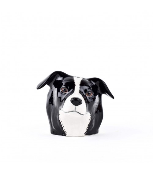 Border Collie - Eggcup Quail Ceramics cute egg cup holder