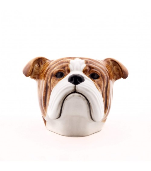 Bulldog Inglese - Porta uova in ceramica