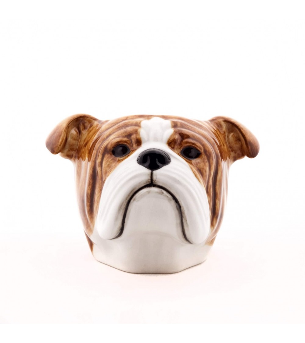 Bouledogue Anglais - Coquetier en céramique