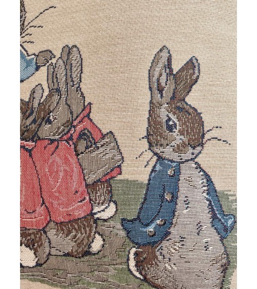 Pierre Lapin de Beatrix Potter - Housse de coussin décoratif Yapatkwa coussins décoratifs pour canapé salon deco original suisse